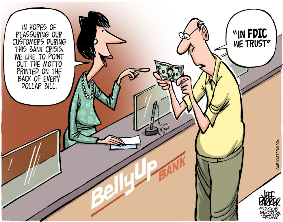 Bank Crisis Belief System COLOR