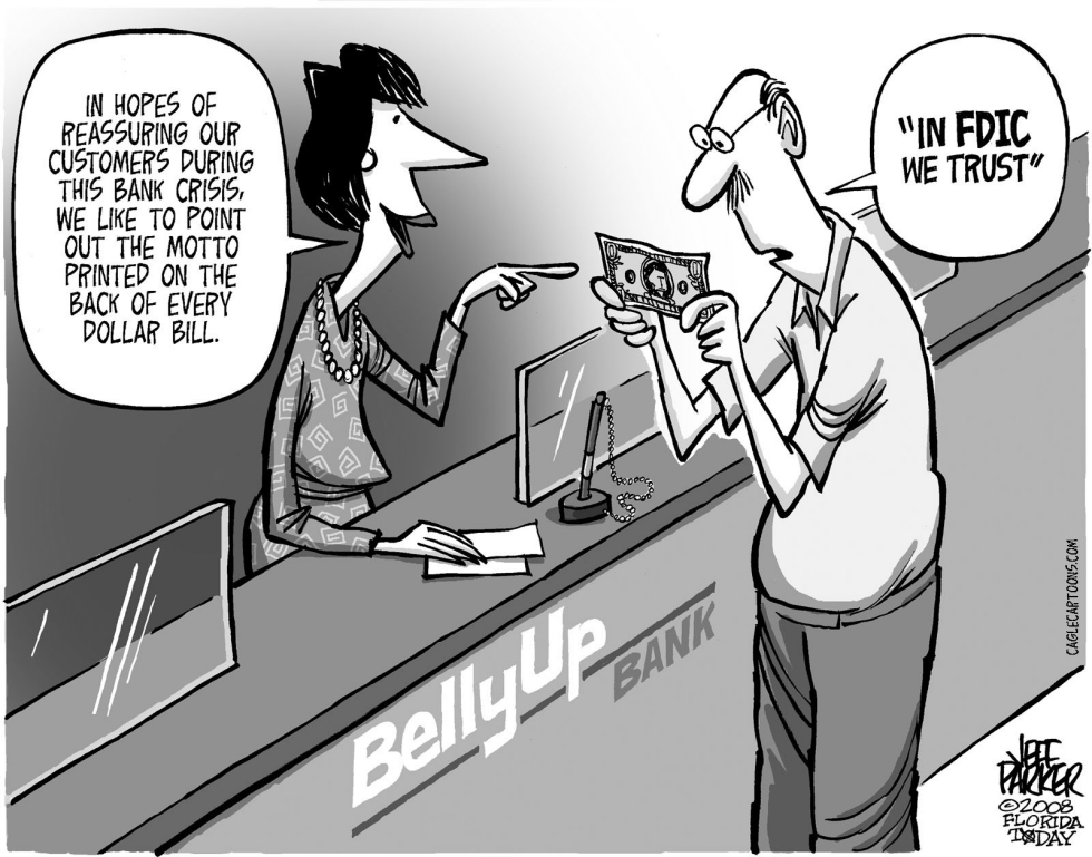 Bank Crisis Belief System