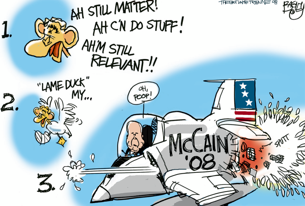 McCain Ducks Bush