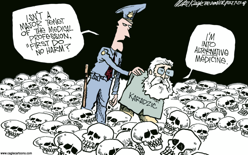 Karadzic Captured COLOR