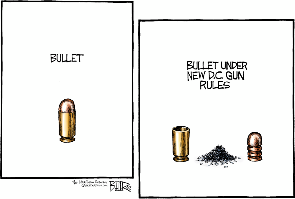  LOCAL DC - BULLET POINT by Nate Beeler