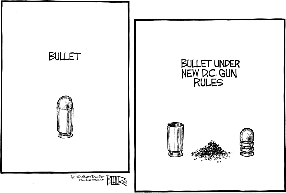 LOCAL DC - Bullet Point