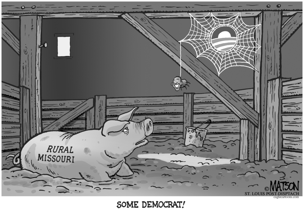 Local MO-Obama's Web