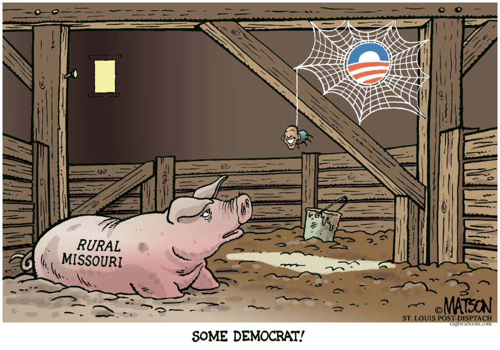Local MO-Obama's Web-COLOR