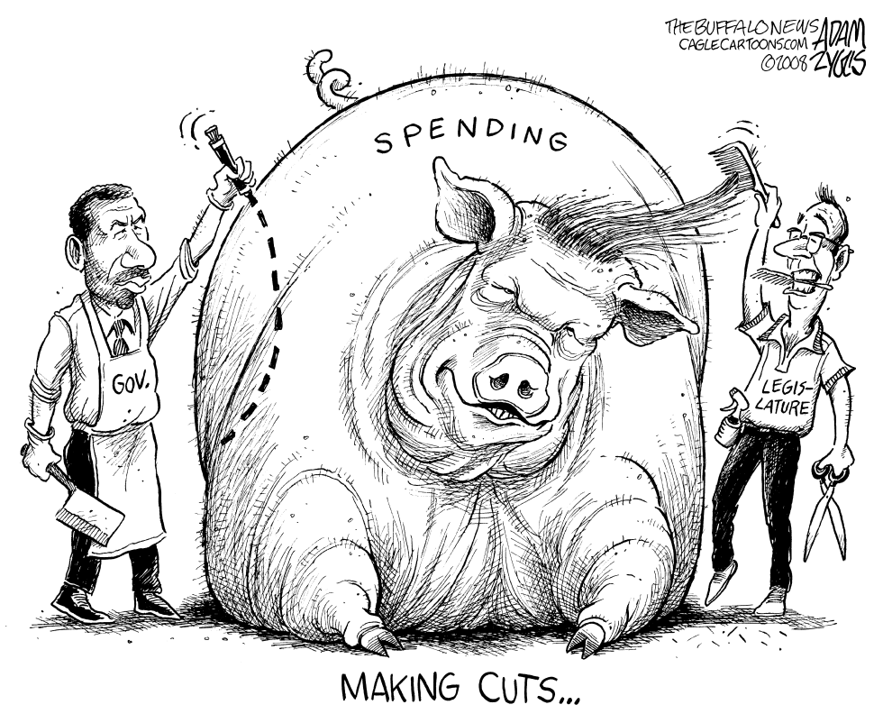 NY State LOCAL Spending Cuts