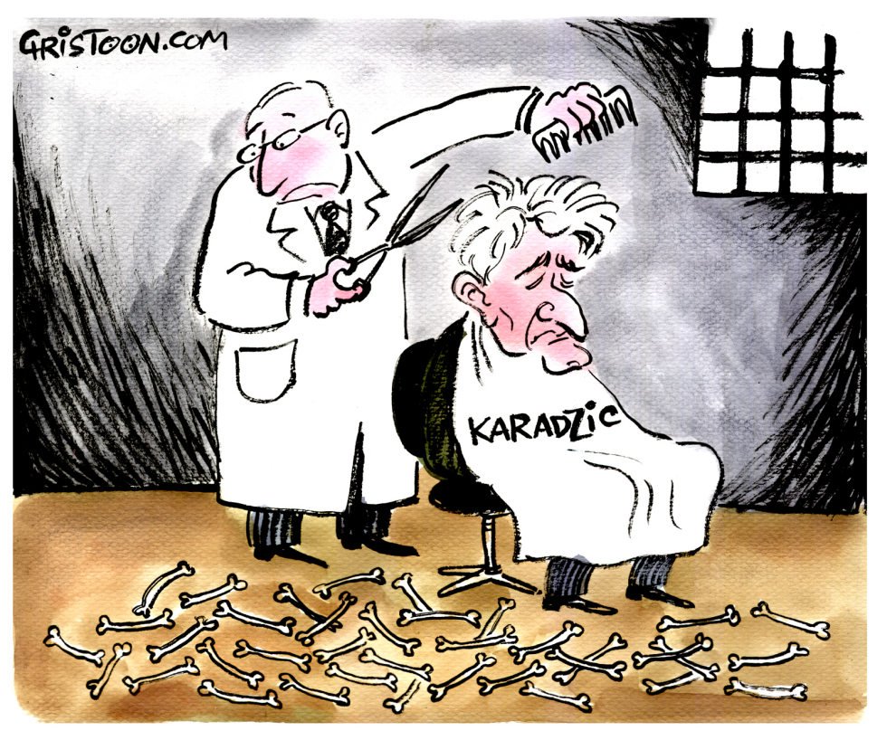 Karadzic haircut - COLOR