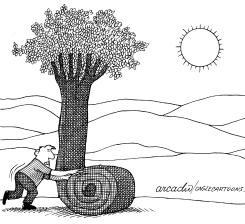DESEMPACANDO áRBOL by Arcadio Esquivel