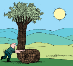 DESEMPACANDO EL áRBOL by Arcadio Esquivel