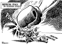 PEACE ON GEORGIA by Paresh Nath