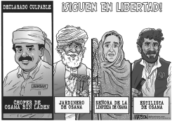 ASISTENTES DE OSAMA BIN LADEN by R.J. Matson