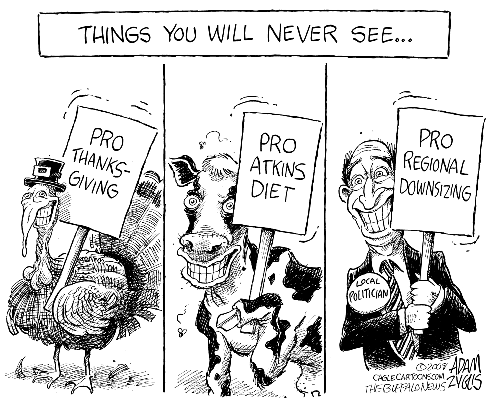 LOCAL Downsizing Government
