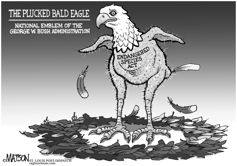 Endangered Species Act