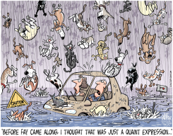LOCAL FL RAINING LIKE by Jeff Parker