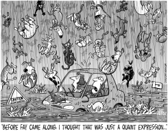 LOCAL FL RAINING LIKE by Jeff Parker