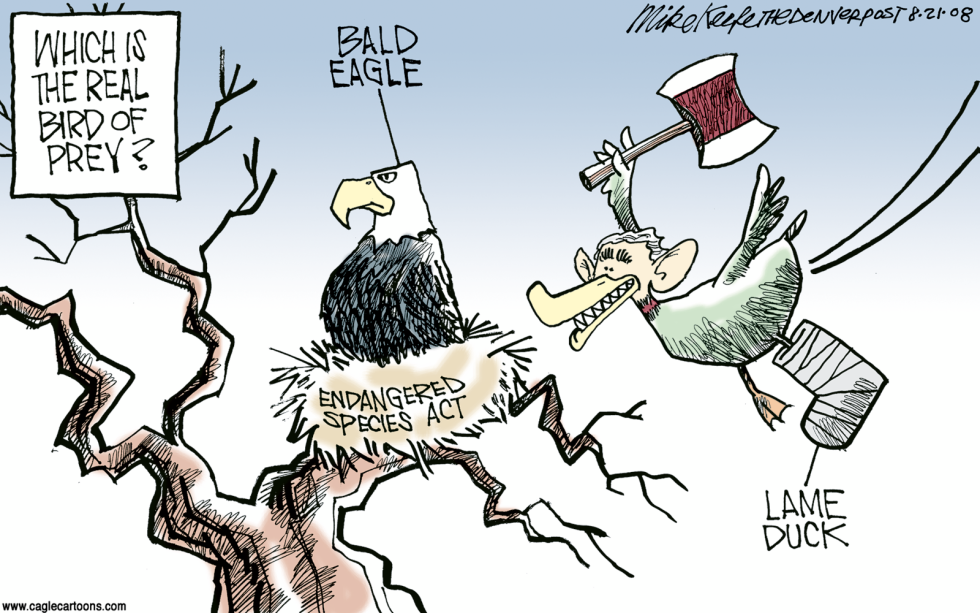 Bush and Endangered Species COLOR
