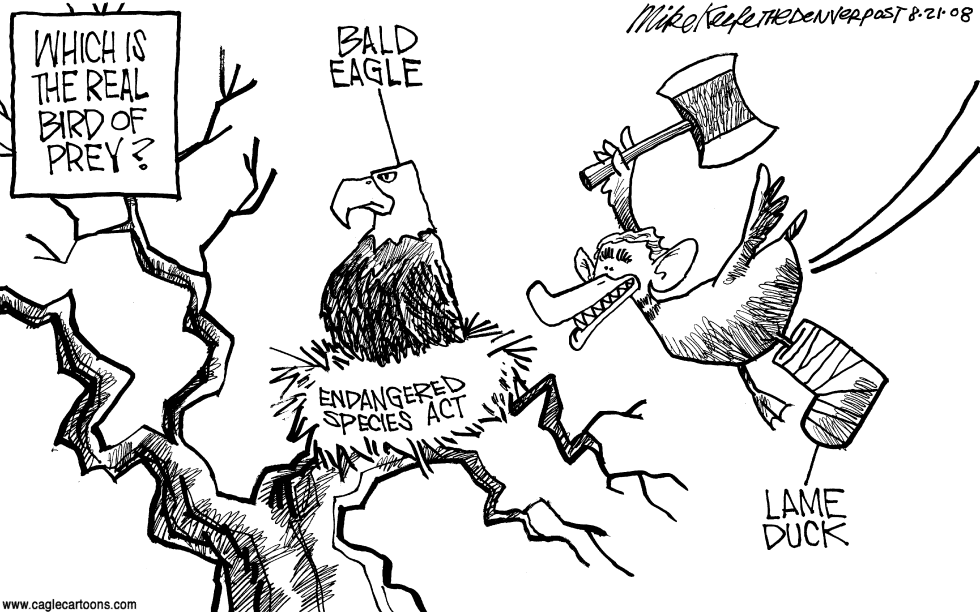 Bush and Endangered Species