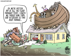 FLOOD DAMAGE ROOF  by Jeff Parker