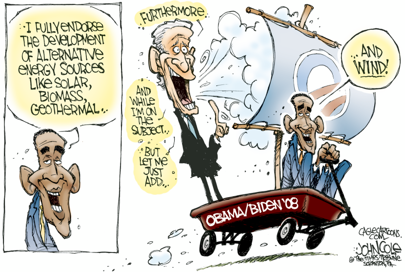 Obama and Biden COLOR