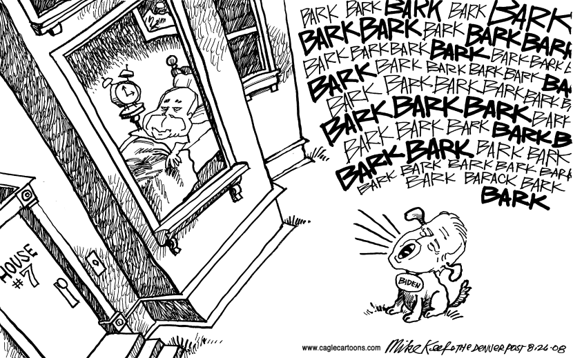 Biden Dogs McCain