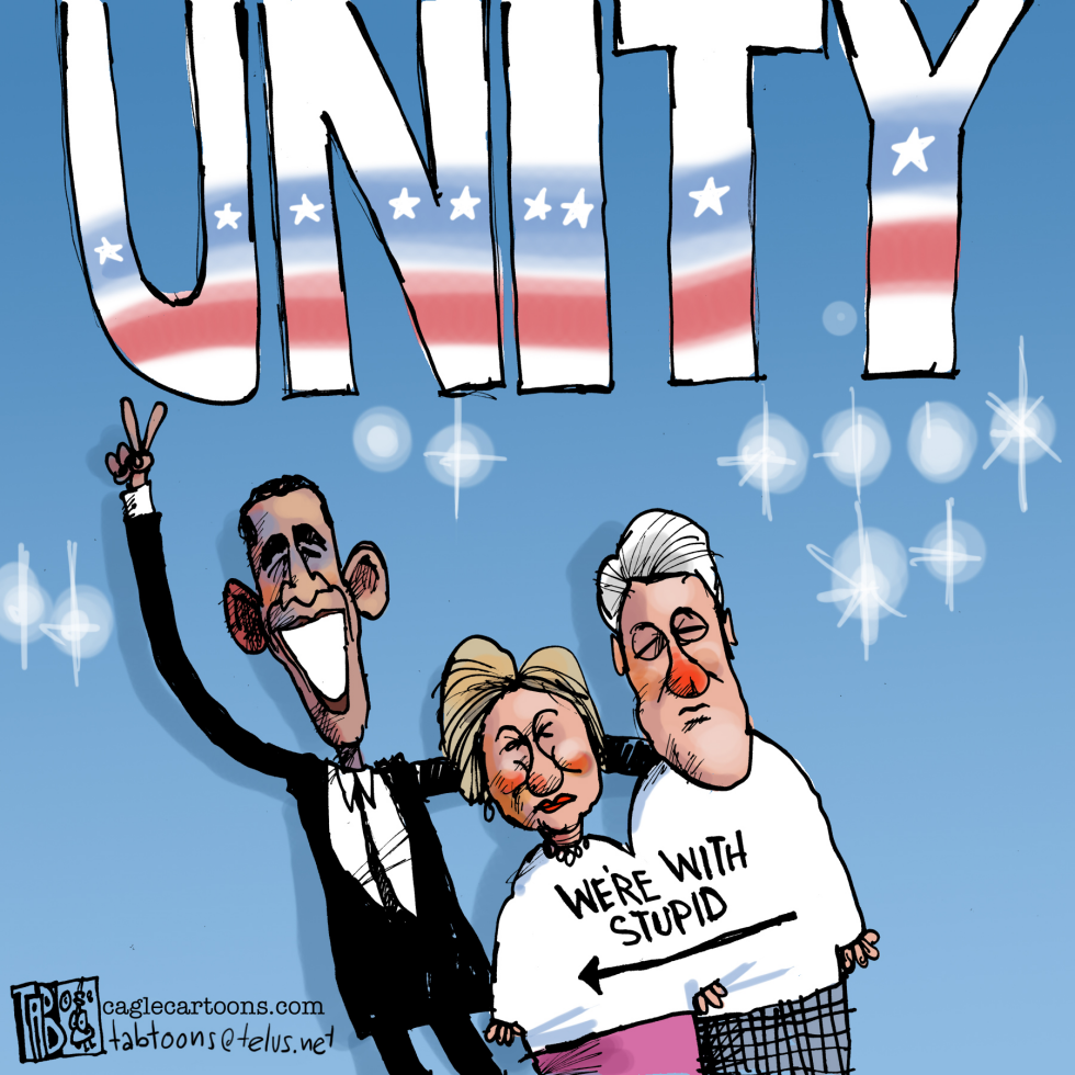Democratic Unity COLOR