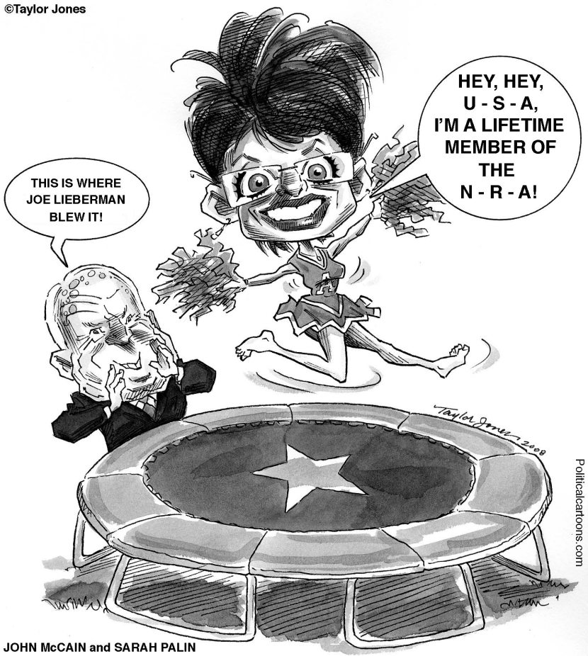 Palin and McCain