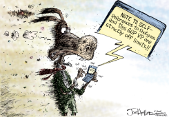 PALIN by Joe Heller