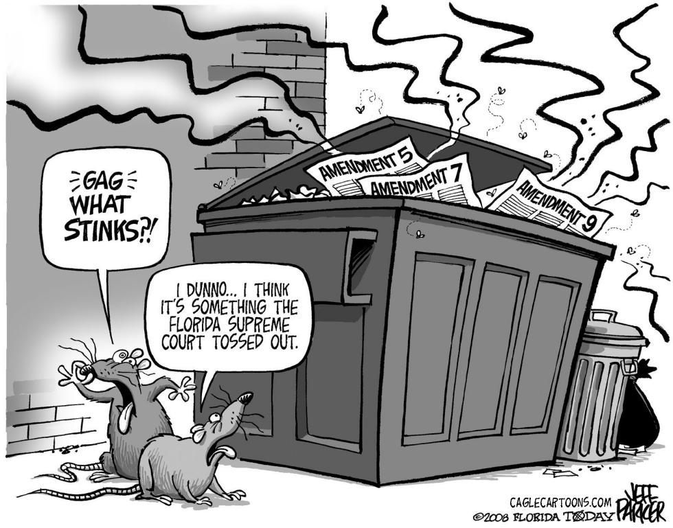 LOCAL FL Amendment Stink