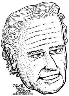 JOE BIDEN by Monte Wolverton