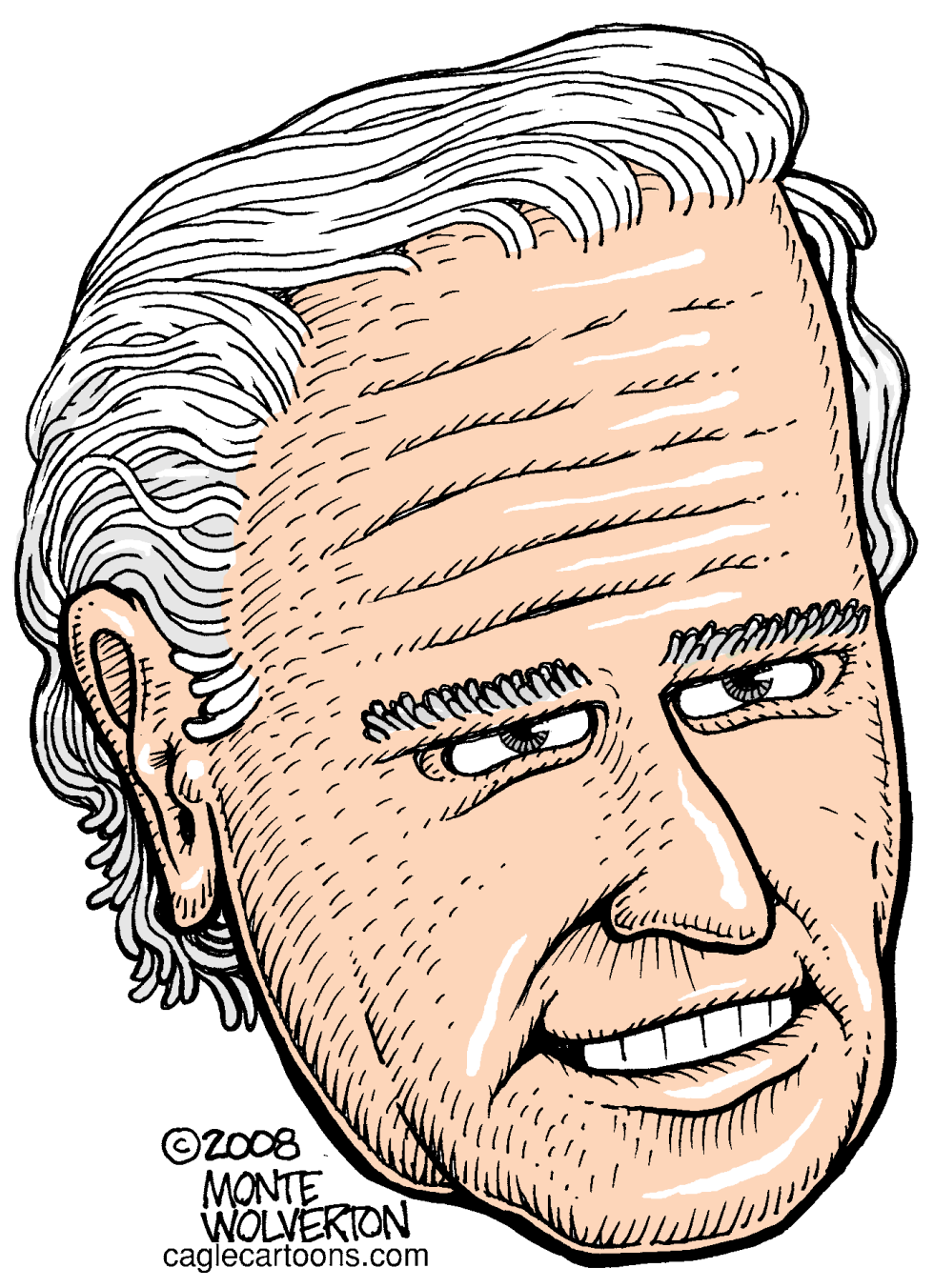  JOE BIDEN by Wolverton