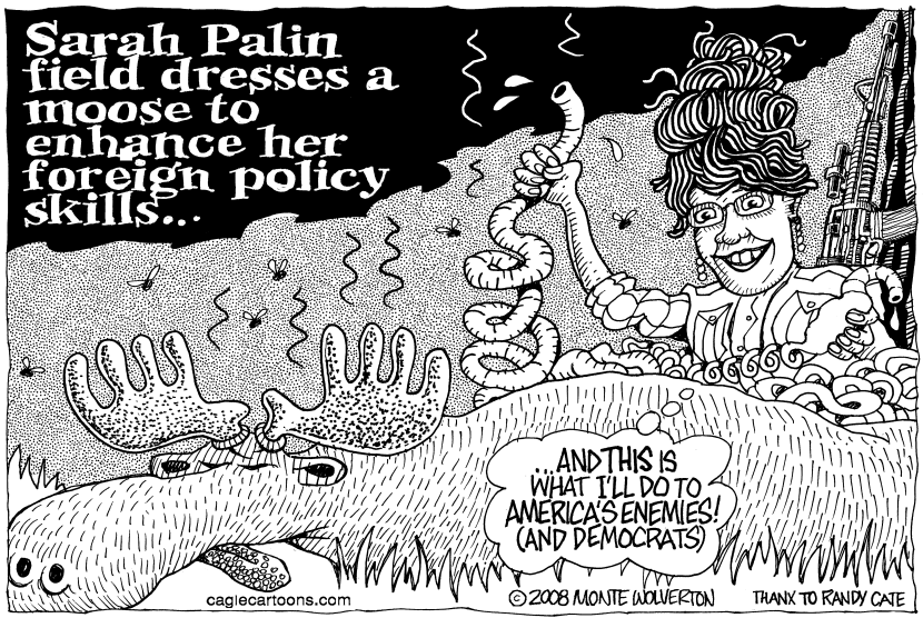 Palin field dresses foreign policy