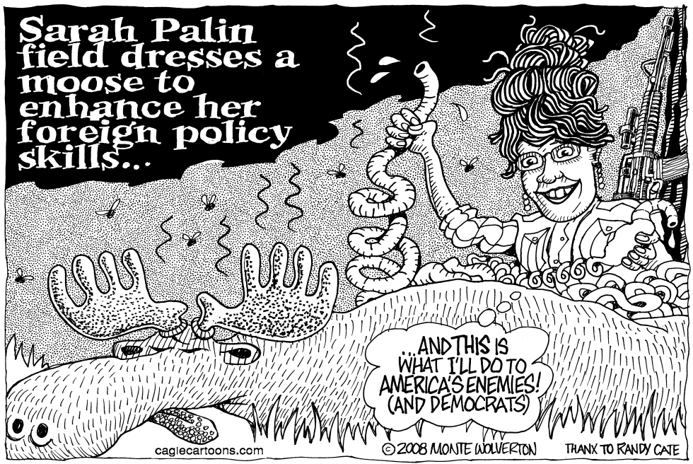 Palin field dresses foreign policy
