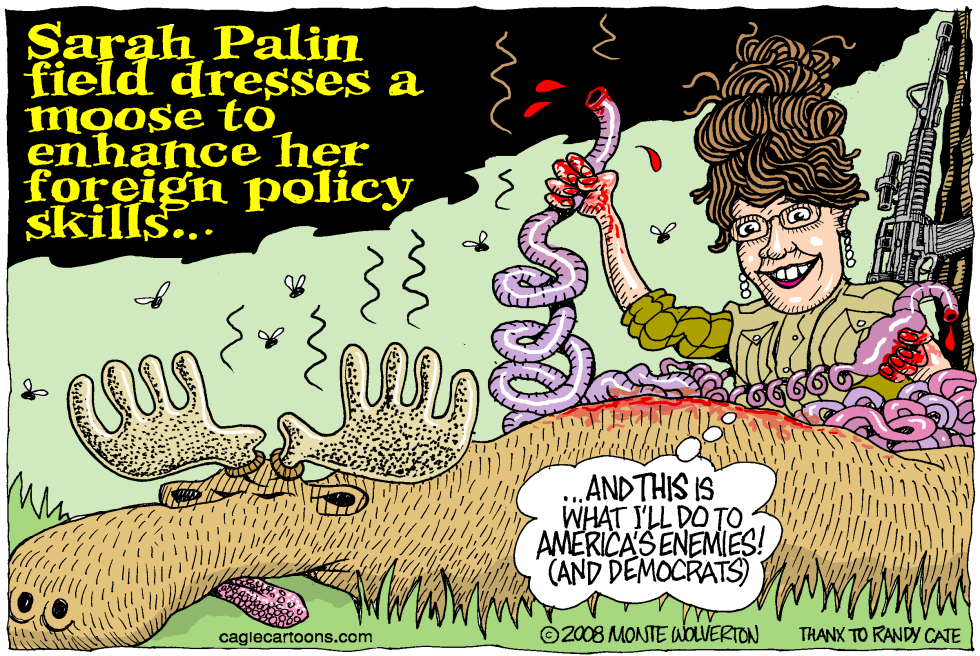  PALIN FIELD DRESSES FOREIGN POLICY by Wolverton