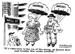 TAXPAYER BAILOUT OF FANNIE AND FREDDIE by Jimmy Margulies
