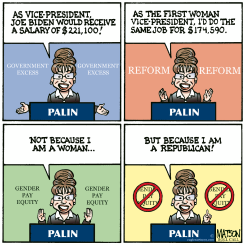VEEP PAY EQUITY by R.J. Matson