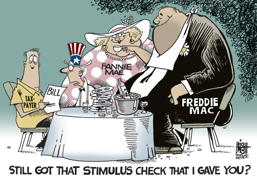 Paying for Freddie and Fannie, COLOR