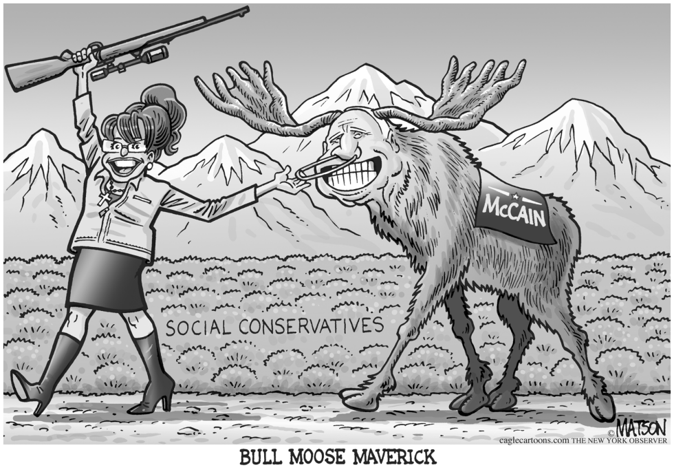 Bull Moose Maverick