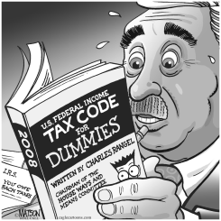 CONGRESSMAN RANGEL'S TAX CODE FOR DUMMIES by R.J. Matson