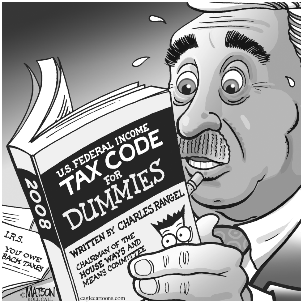  CONGRESSMAN RANGEL'S TAX CODE FOR DUMMIES by RJ Matson