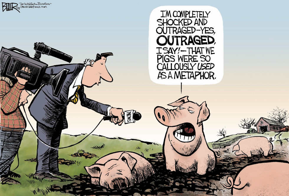 The Pigs Respond COLOR
