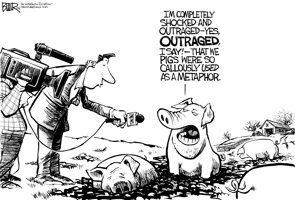 The Pigs Respond