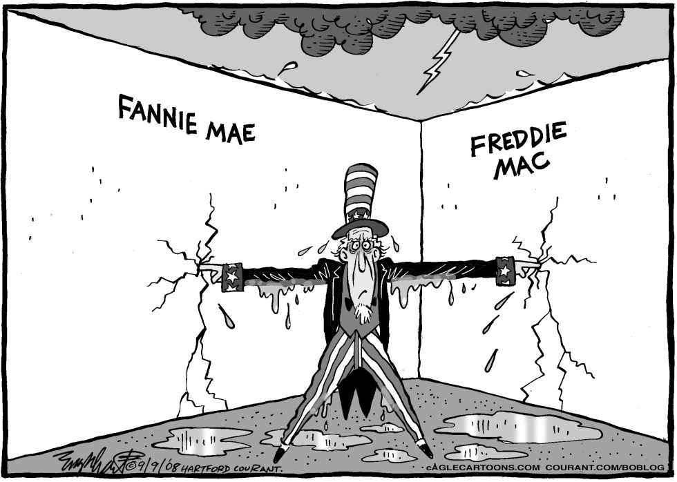 Fannie y Freddie a salvo