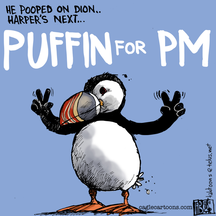 CANADA Puffin for PM COLOUR