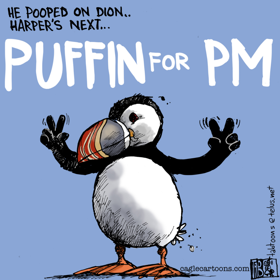 CANADA Puffin for PM COLOUR