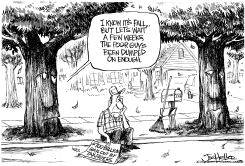 FALL by Joe Heller