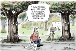 FALL by Joe Heller