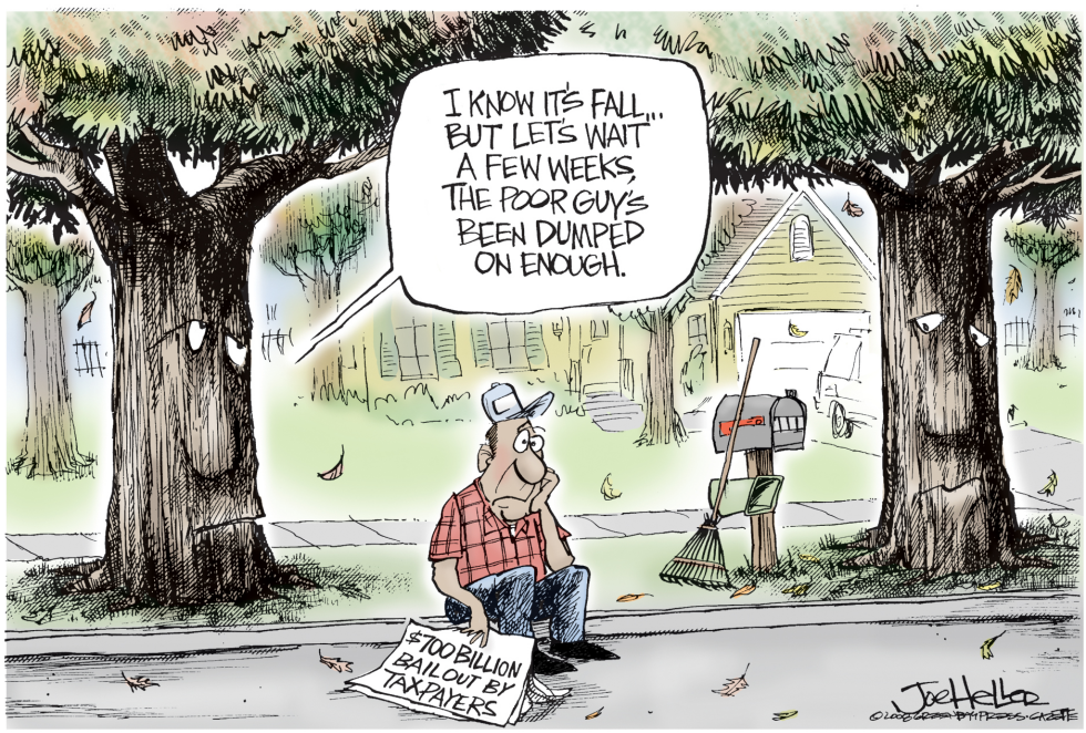 Fall