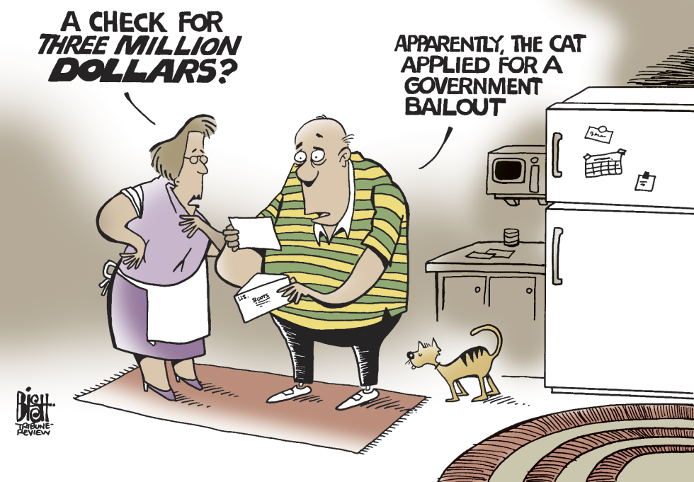 Bailout the cat, COLOR
