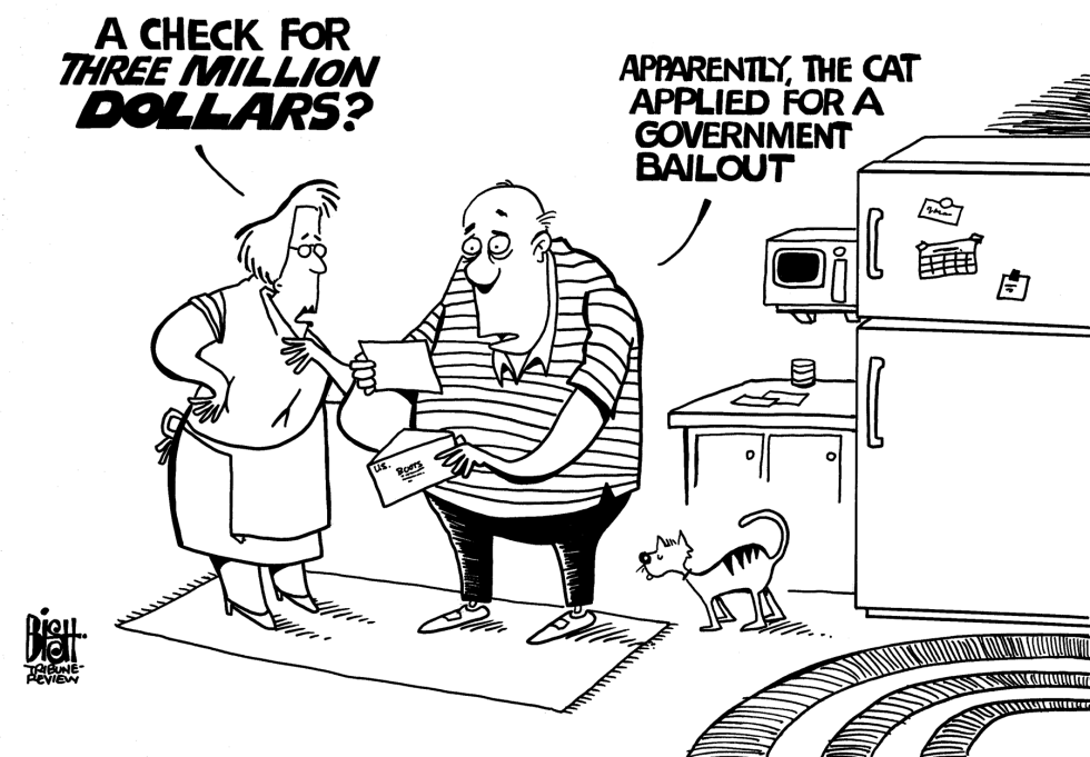 Bailout the cat, b/w