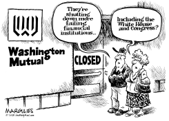 FAILING FINANCIAL INSTITUTIONS by Jimmy Margulies