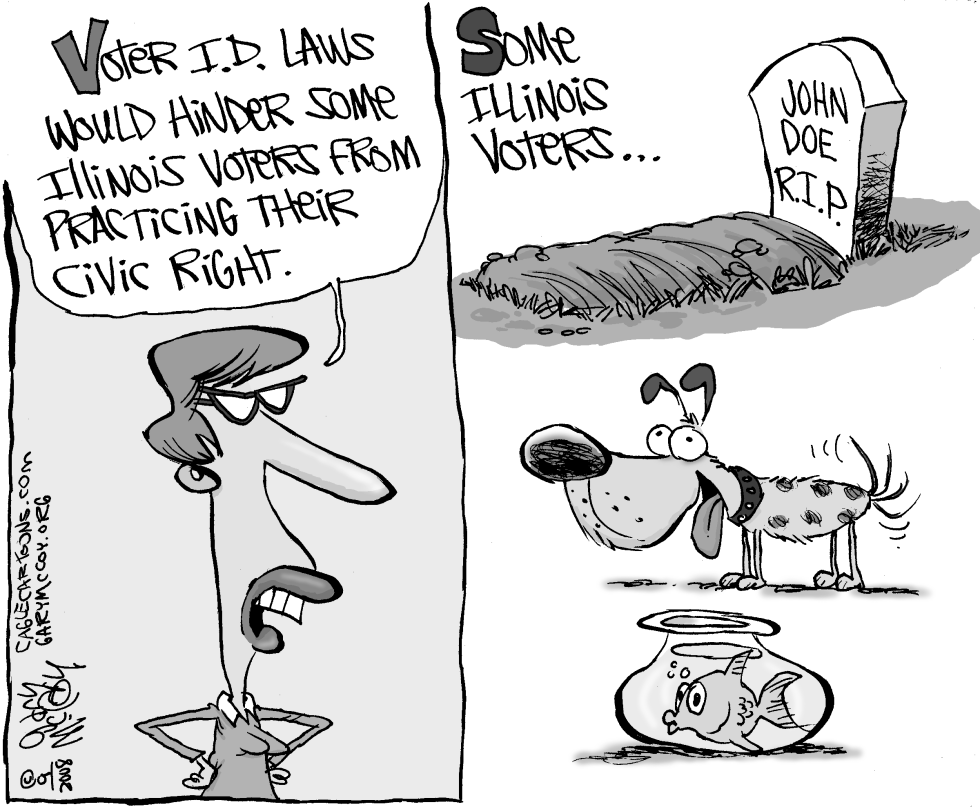 Local-IL Voter ID Laws